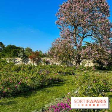 Le Jardin du Parfumeur à Versailles