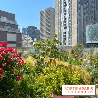 Jardins partagés (toit Beaugrenelle)