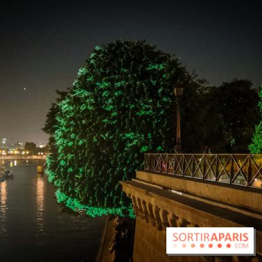 Nuit Blanche 2023 : des projections lumineuses magiques au Square du Vert Galant de l'Île de la Cité