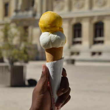 Les glaces de Louise au Jardin des Plantes  - 910628 louise jardin des plantes des glaces artisanales et francaises