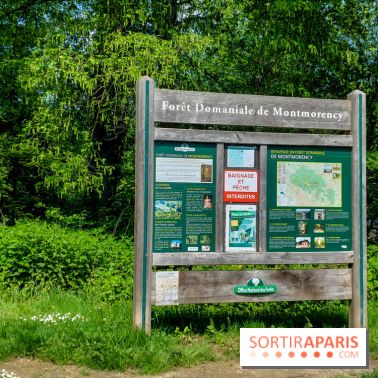 Balade nature dans la forêt de Montmorency, nos photos