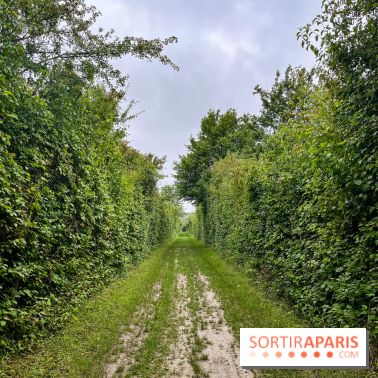 Le parc de la Haute-Île à Neuilly-sur-Marne - image00001