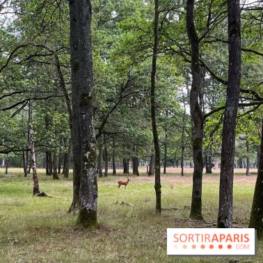 Espace Rambouillet