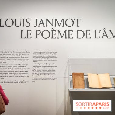 Louis Janmot, le Poème de l'âme : l'exposition insolite à découvrir au musée d'Orsay - nos photos