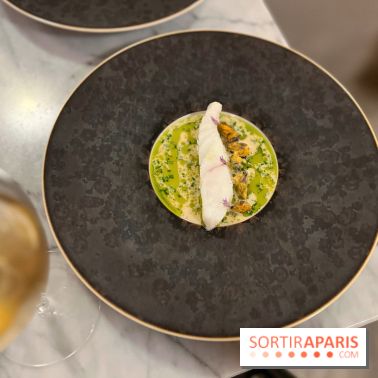 Tracé, Clément Vergeat - Turbot et moules