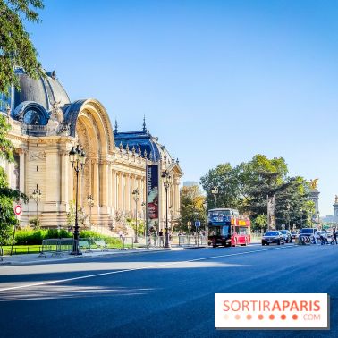 Nuits corticales, l'exposition contemporaine de Loris Gréaud qui transforme le Petit Palais - photos - IMG20231002164823