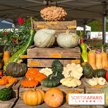 Automne au Potager du Roi - Citrouilles - Halloween