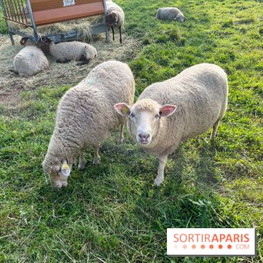 La ferme pédagogique du parc des Chanteraines