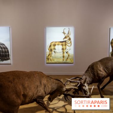 Sean Landers, les photos de son expo au Musée de la Chasse et de la Nature
