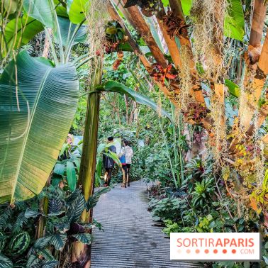 Automne Tropical 2023