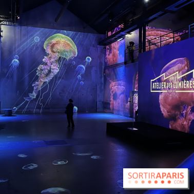 Océans, l'Odyssée Immersive à l'Atelier des Lumières - IMG 6095
