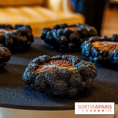 Bûche de Noël du Shangri-La Paris 2023 et galette des rois 2024
