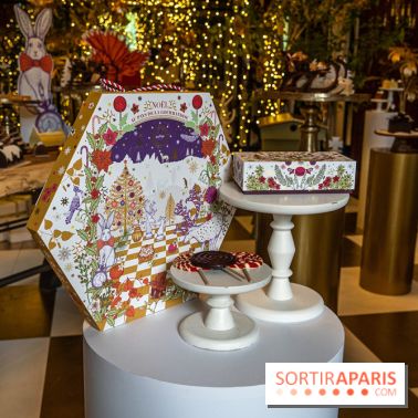 Bûches de Noël 2023 et galette 2024 de Lenôtre