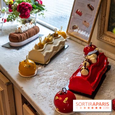 Bûche de Noël d'Angelina 2023 - A7C0397