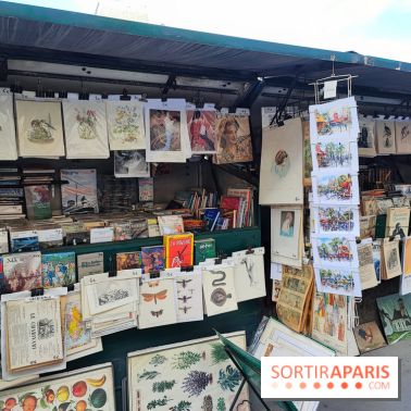 Bouquinistes des quais de Seine - 155733
