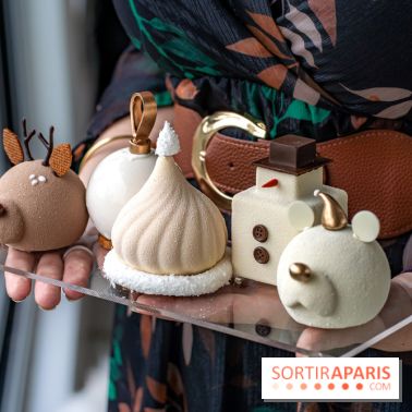 Bûche de Noël de Candy Paradis 2023 -  A7C5082