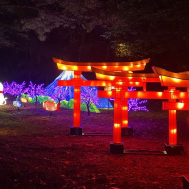 L'Odyssée lumineuse : une sortie lumineuse pour toute la famille - 2