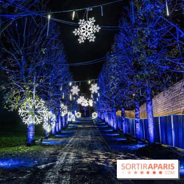 Lumières en Seine au Parc de Saint-Cloud 2023, le parcours de lumières -  A7C7314