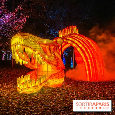 Odyssée Lumineuse, le festival des lumières au Parc Floral - IMG 2527
