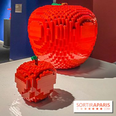 Expo The Art of The Brick Galerie Montparnasse