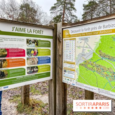 Le sentier de l'érosion à Fontainebleau - balade en forêt - IMG 6595