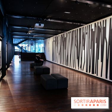 Tania Mouraud, nos photos de son expo à Fluctuart - IMG 2700