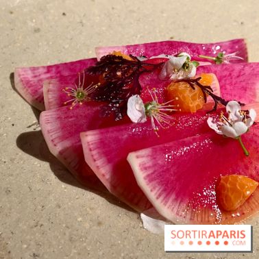 Datil - Radis, Saint-Jacques, ail