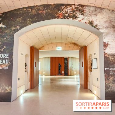 La voix de la forêt : l'exposition qui nous reconnecte avec la nature au Petit Palais - photos - IMG20240304093019