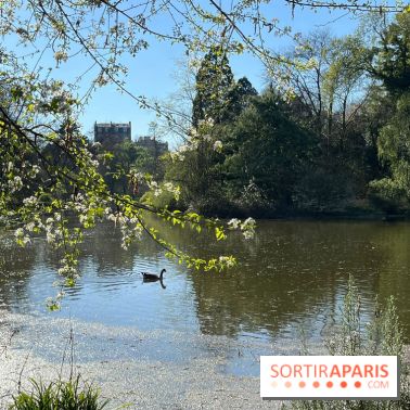 Lac de Saint-Mandé - nos photos - WhatsApp Image 2024 03 22 à 16.15.39 86c32a56