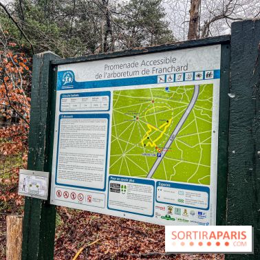 Arbor&Sens, l'Arboretum de Franchard en forêt de Fontainebleau - les photos - IMG 7897
