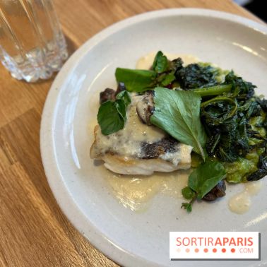 Brion - Poisson, curry vert, escargots