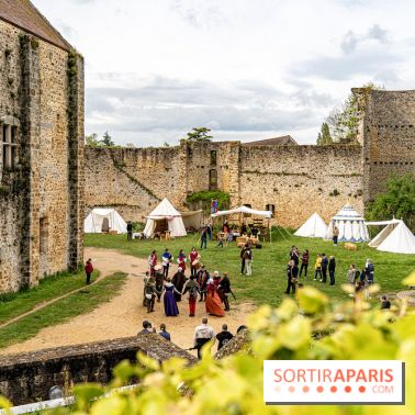 Les Rendez-vous de la Madeleine à Chevreuse -  A7C2549