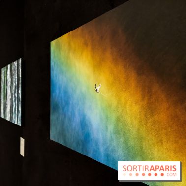 Reflets de la nature, nos photos de l'exposition - 20240507 141029