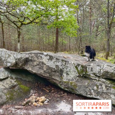 Dolmen de la Pierre Ardoue