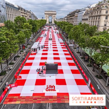 Grand pique nique des Champs-Élysées - photos  -  A7C4634
