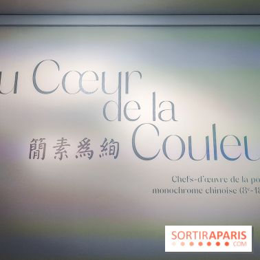 Au cœur de la couleur : l'exposition autour de la porcelaine de Chine au musée Guimet - nos photos - IMG20240611174503