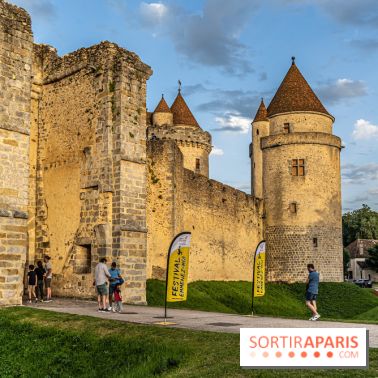 Le Château de Blandy-les-Tours en Seine-et-Marne (77), nos photos -  A7C7946