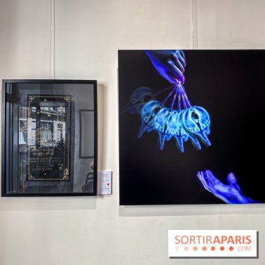 Le Cabinet de l’Oracle : l'exposition ésotérique à la galerie La Lison - IMG 8616