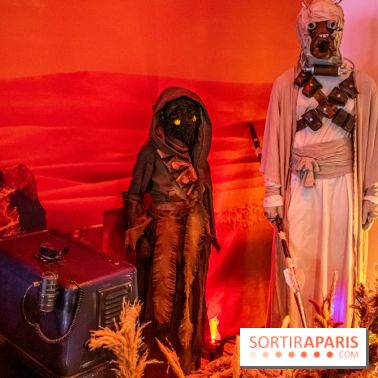 Star Wars : Fans of the Galaxy, l'expo à découvrir dans une galaxie lointaine, très lointaine - DSC 0899