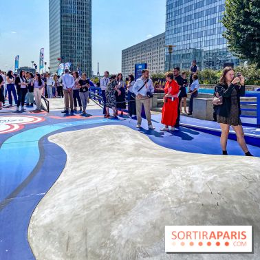 Saint-Gobain Skate Game - IMG 8964