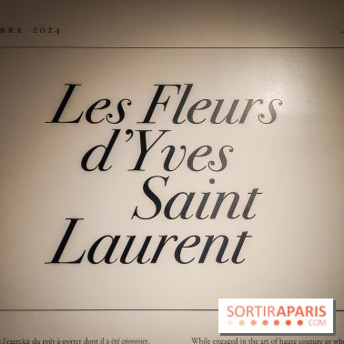 Les fleurs d'Yves Saint Laurent : l'exposition se dévoile en images au musée YSL - IMG20240919095711