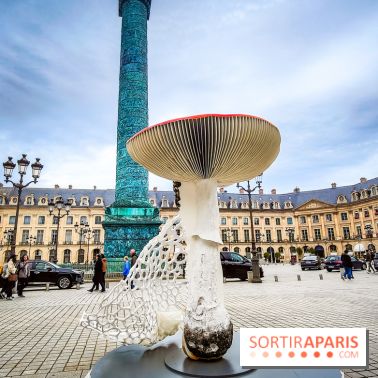 Art Basel Paris 2024 : des champignons géants décorent la place Vendôme - nos photos - IMG20241012121447