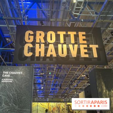 La Grotte Chauvet à la Cité des Sciences, nos photos  - image00018