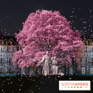 Vincennes, Château de Lumières - Nuits de lumière