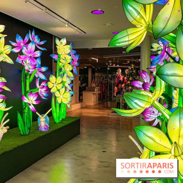 Les vitrines de Noël 2024 de la Samaritaine : Thoiry Lumières Sauvages envahit le grand magasin - Les vitrines de Noël 2024 de la Samaritaine : Thoiry Lumières Sauvages envahit le grand magasin   image00030   1125751