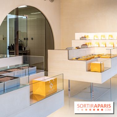 La chocolaterie William Artigue et ses chocolats de Noël 2024 -  A7C5845