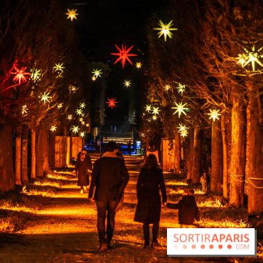 Lumières en Seine 2024, le parcours de lumières féérique et animé  -  A7C6590