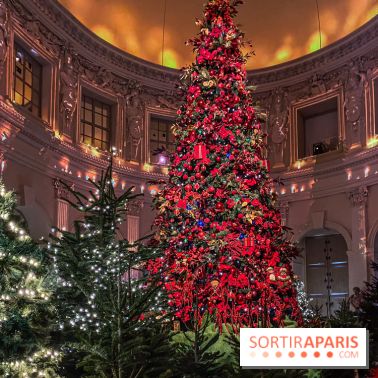 Noël 2024 au Château de Vaux-le-Vicomte : une expérience magique avec une patinoire