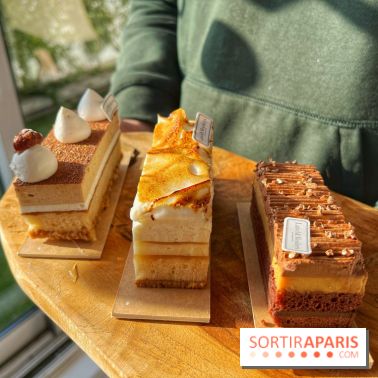 Bûches 2024 Land&Monkeys - IMG 7481