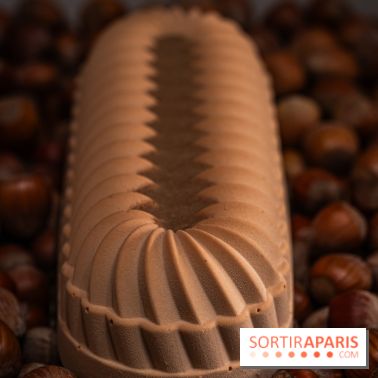 Les Bûches de Noêl de Pleincœur par maxime Frédéric -  A7C8358